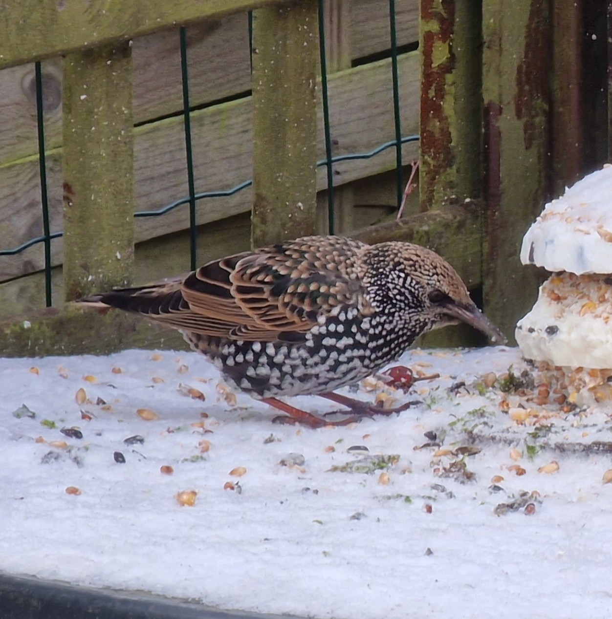 Ik wens iedereen een voorspoedig 2024!